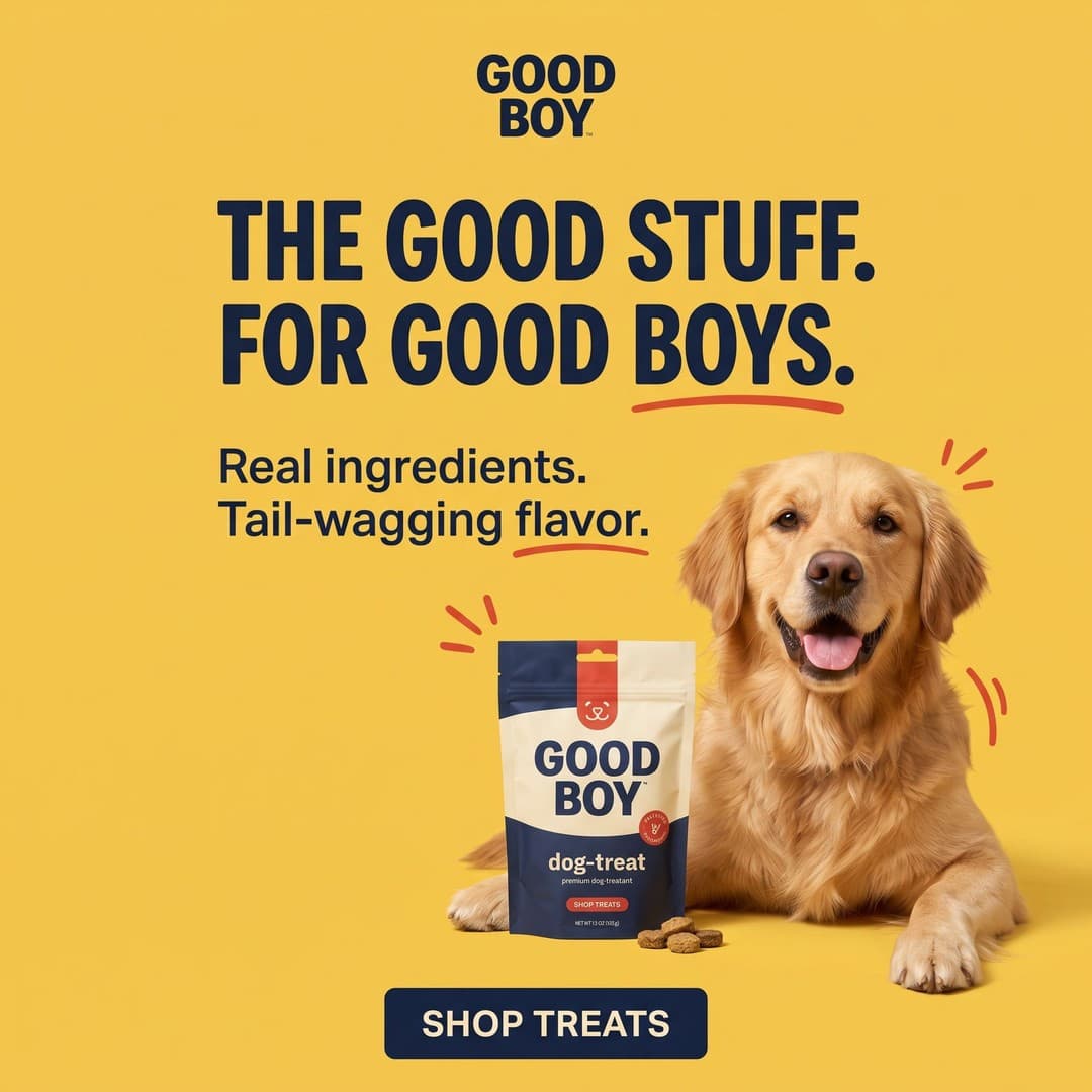 Good Boy dog treats ad, 1:1 version for Meta