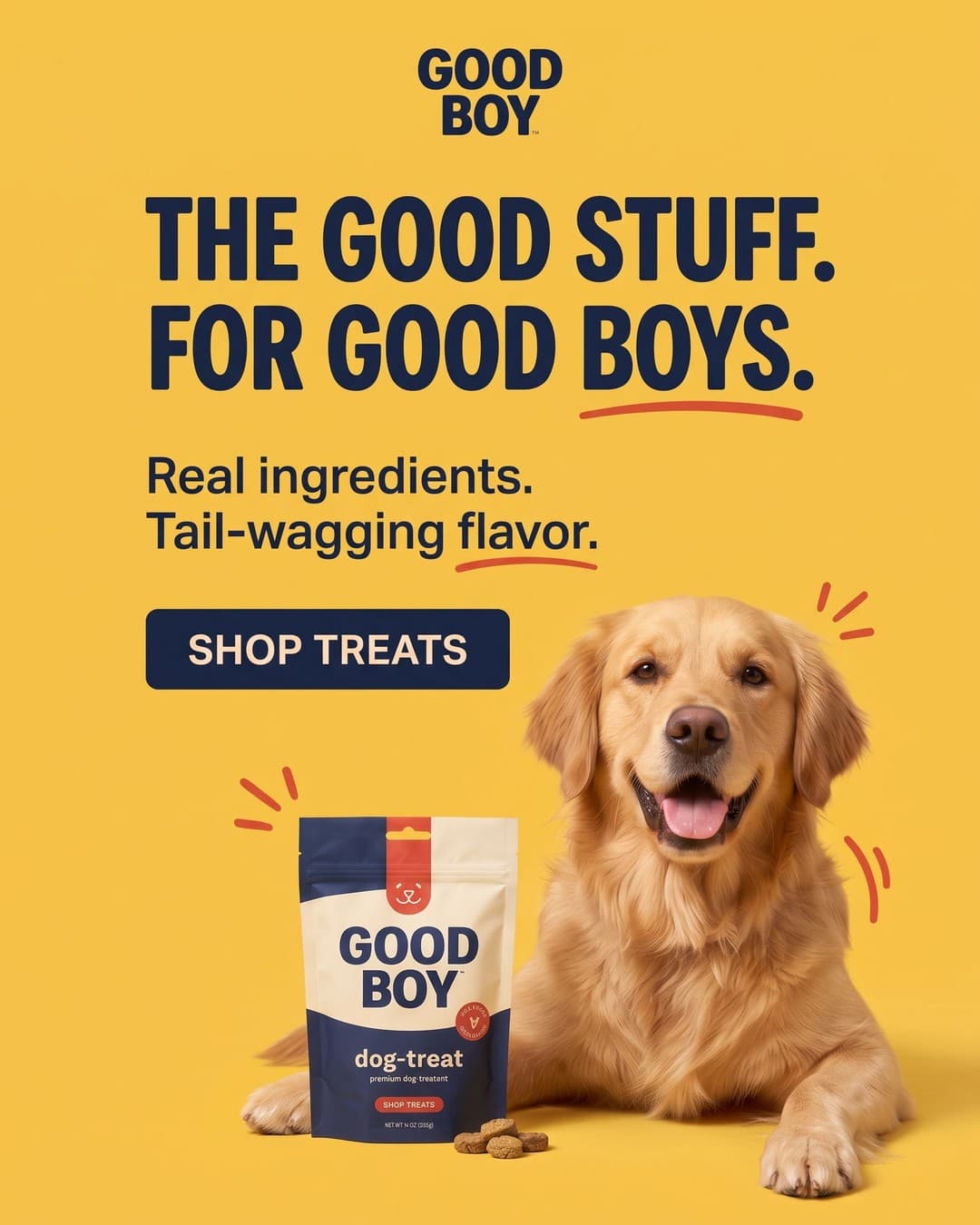 Good Boy dog treats ad, 4:5 version for Meta